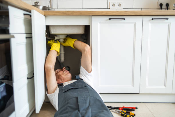 Best Water Leak Repair  in Chatham, IL