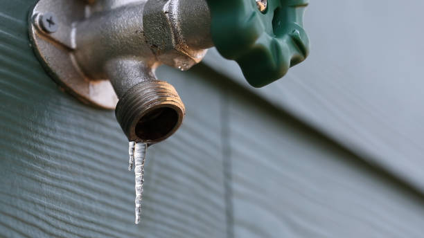 Best Clogged Drain Plumber  in Chatham, IL